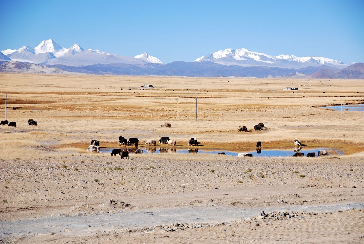 38 Kubi Gangri And Rongla Kangri From Paryang Tibet The mountain panorama across the plains from Paryang Tibet includes Kubi Gangri (6859) on the left and Rongla Kangri (6647m) on the middle right.